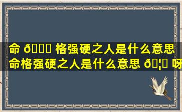 命 🐒 格强硬之人是什么意思（命格强硬之人是什么意思 🦁 呀）